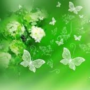 Meet your Posher Ijenn